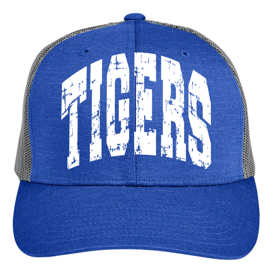 TIGERS Hat